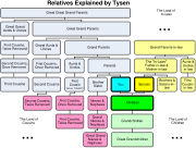 The relationships and names of various family members in the English language.