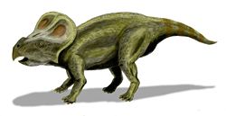 Life restoration of Protoceratops