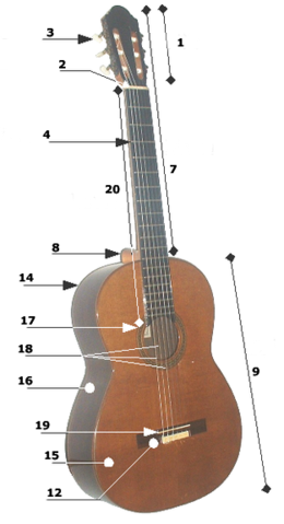 Image:Acoustic guitar parts.png