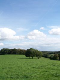 none Chiltern Hills near Nettlebed