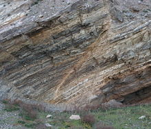 Figure 1. Fault in shales near Adelaide, Australia