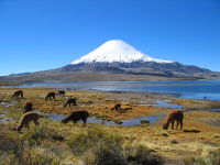 Parinacota Volcano in northern Chile.