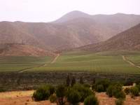 Elqui Valley in north-central Chile.