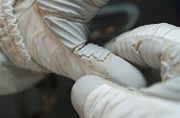 Tear in space glove during STS-118