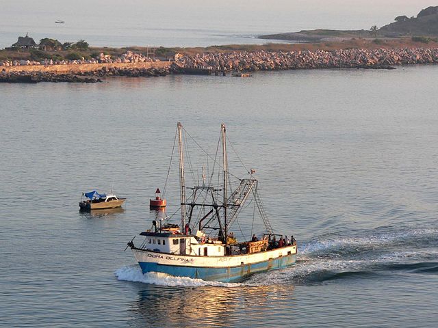 Image:Dona Delfina at Mazatlan.jpg