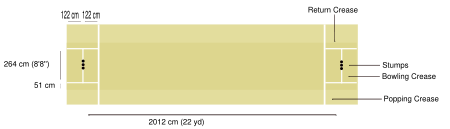 The Cricket pitch dimensions