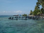 Saltwater pearl oyster farm, Seram, Indonesia