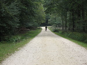 One of the many miles of cycle paths