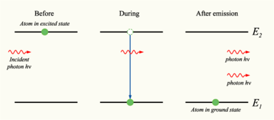 Stimulated emission (in which photons “clone” themselves) was predicted by Einstein in his kinetic derivation of E=hν, and led to the development of the laser. Einstein's derivation also provoked further developments in the quantum treatment of light, the semiclassical model and quantum electrodynamics (see below).