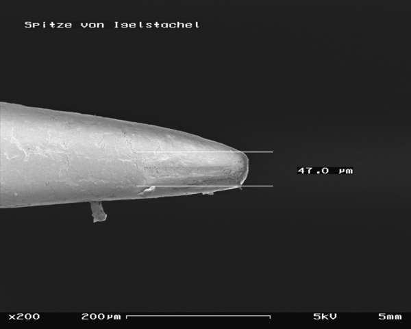 Image:Hedgehog sting in SEM, 200x.GIF