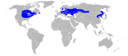 Humid continental climate worldwide