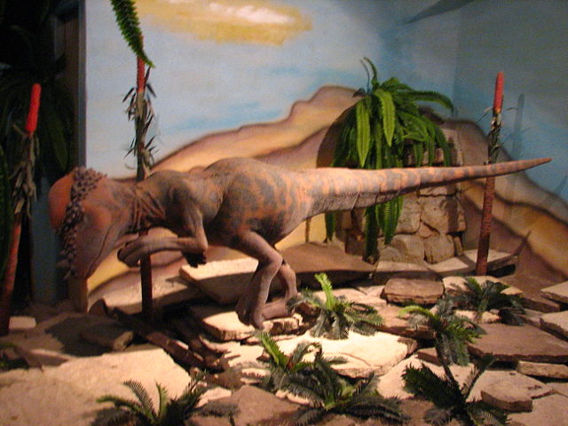 Image:Pachycephalosaurus-02-ZOO.Dvur.Kralove.jpg