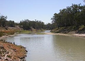 The Darling in unusually good condition, near Bourke