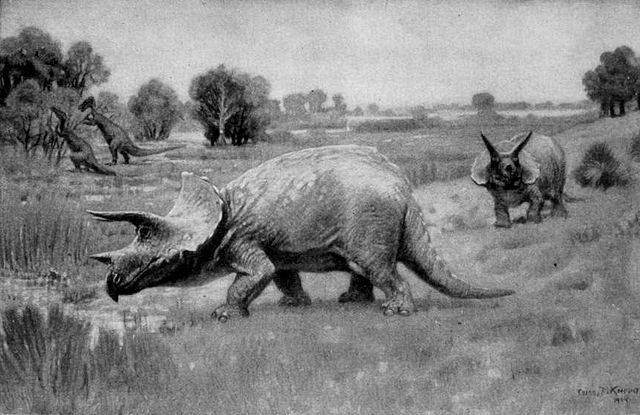 Image:Triceratops - 1904.jpg