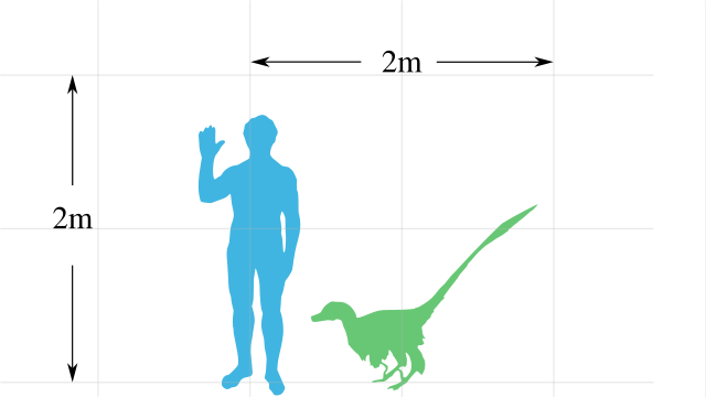 Image:Vraptor-scale.svg