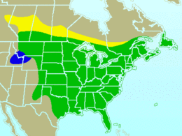 Global range.Yellow: breeding onlyGreen: Resident all yearBlue: wintering only.See also text for recent range expansion.