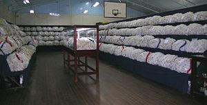 Wool section, Walcha show.  The creamy fleeces on the left are crossbred wool.