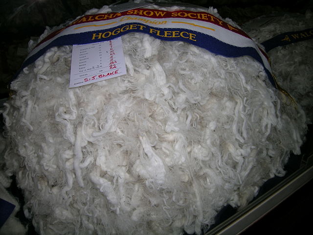 Image:Hogget fleece.JPG