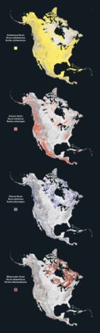 Image:North america rock types.jpg