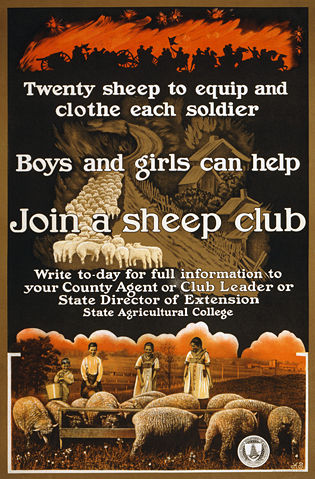 Image:Sheep club2.jpg