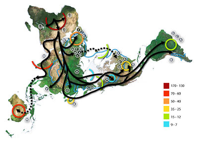 Map of early human migrations, according to mitochondrial population genetics. Numbers are millennia before the present (accuracy disputed).