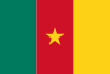 Flag of Cameroon