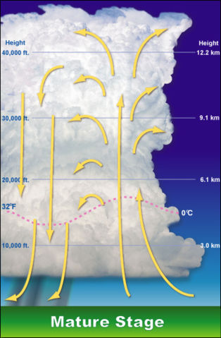 Image:Tstorm-mature-stage.jpg