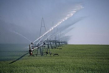 Irrigation in a field in New Jersey