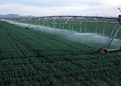 Center pivot with drop sprinklers. Photo by Gene Alexander, USDA Natural Resources Conservation Service.