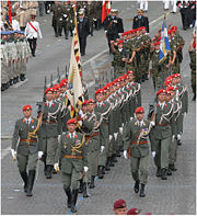 Austrian Guard Company on parade - July 14th 2007, Champs Elys�es, Paris.