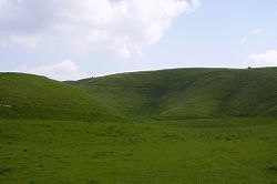 The Manger, with the White Horse at centre skyline and Dragon Hill (left)