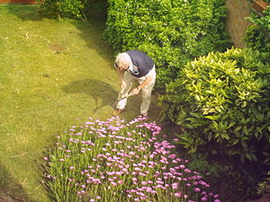 A gardener