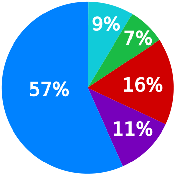 Image:Languages spoken at home in the Brussels Capital Region (2006).svg