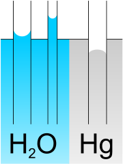 capillary action of water compared to mercury