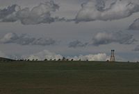 Reenactment of Mongol military movement.