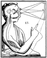 Ren� Descartes' illustration of dualism. Inputs are passed on by the sensory organs to the epiphysis in the brain and from there to the immaterial spirit.