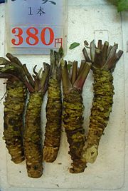 Fresh wasabi root for sale at Nishiki Market in Kyoto