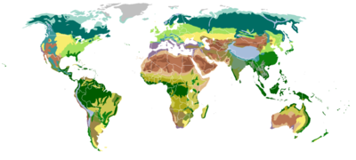 Biomes classified by vegetation    �����Ice desert �����Tundra �����Taiga �����Temperate broadleaf �����Temperate steppe �����Subtropical rainforest  �����Mediterranean �����Monsoon forest �����Desert �����Xeric shrubland �����Dry steppe �����Semidesert  �����Grass savanna �����Tree savanna �����Subtropical dry forest �����Tropical rainforest �����Alpine tundra �����Montane forests 