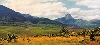 Mount Murresse and tea plantations near Gur��, Zambezia Province, northern Mozambique.