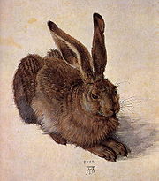 Albrecht D�rer, A Young Hare, 1502, Watercolor, Albertina, Vienna.