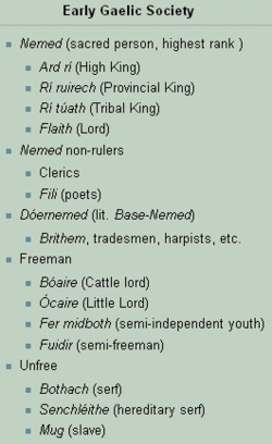 This is a rough model of early Gaelic society gained from early Gaelic legal texts. The structure is applicable to pre-Norman Gaelic Scotland, although the terminology very different in Scottish Latin sources.