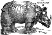 D�rer's Rhinoceros, woodcut, 1515.