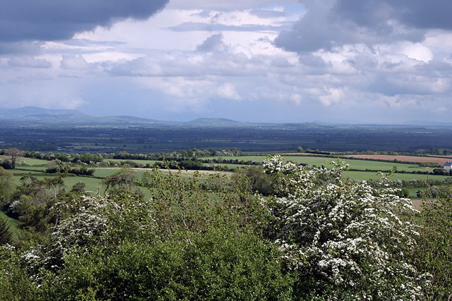 Image:Ireland - Plains of South Kildare.jpg