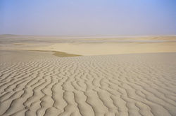 Desert in Qatar