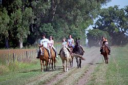 Rural areas cover the region of Las Pampas.