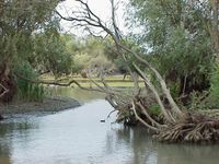 Landscape in the Danube Delta