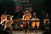 A Cold Fairyland concert performance. The band combines traditional Chinese instruments and musical elements with rock music.