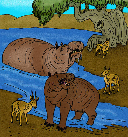 Image:Hippopotamus cruetzburgi.JPG