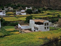 Traditional Kham houses