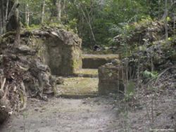 A Middle Preclassic palace structure at Nakb�, the Mirador Basin.